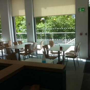 window manifestations DDA regulation 14 education merseyside